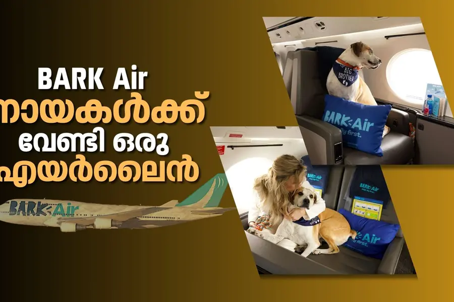 നായകൾക്കും അവയുടെ ഉടമകൾക്കും മാത്രമായ ഒരു ആഡംബര വിമാനം: ബാര്‍ക്ക് എയര്‍