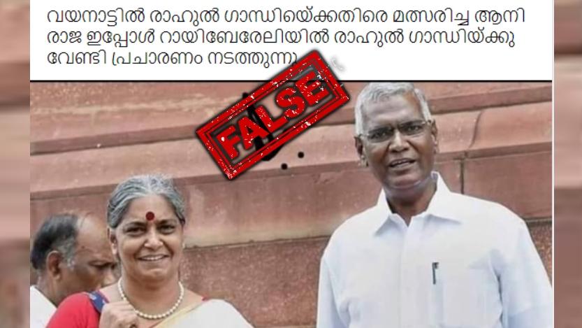 Image accompanying 'വയനാട്ടിൽ രാഹുൽ ഗാന്ധിയ്‌ക്കെതിരെ മത്സരിച്ച ആനി രാജ ഇപ്പോൾ റായിബേരേലിയിൽ രാഹുൽ ഗാന്ധിയ്ക്കു വേണ്ടി പ്രചാരണം നടത്തുന്നു'