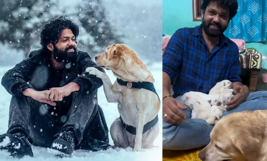 777 ചാർലിയിലെ രംഗം, രക്ഷിത് ഷെട്ടി പങ്കുവച്ച വീഡിയോയിൽ നിന്നും