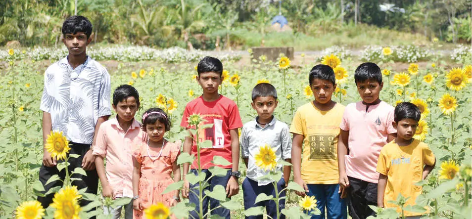 സൂര്യകാന്തിപ്പാടത്തുനിന്ന് ഫോട്ടോയെടുക്കുന്ന കുട്ടികൾ