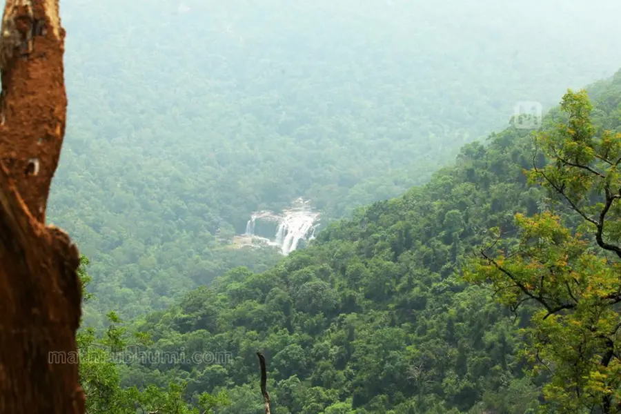 സഞ്ചാരികളെ കാത്ത് കേരളത്തിന്റെ കശ്മീര്‍; ടൂറിസം ഫെസ്റ്റിന് ചൊവ്വാഴ്ച തുടക്കമാകും