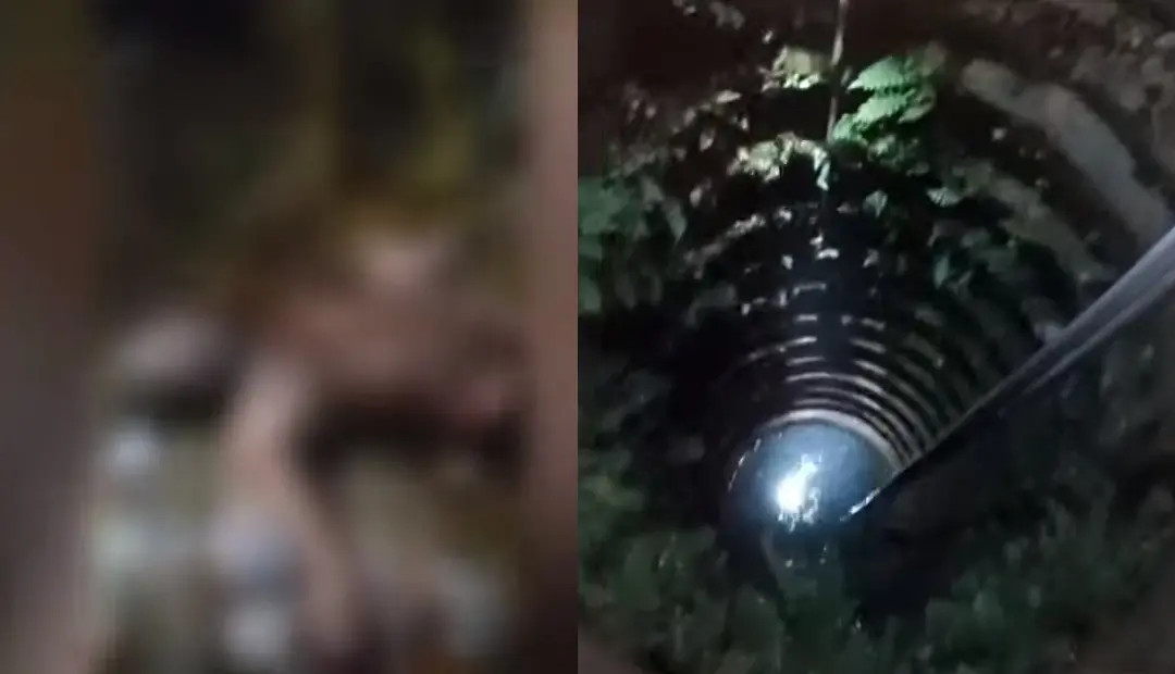 പൊള്ളലേറ്റ യുവാവ്, യുവാവ് എടുത്തുചാടിയ കിണര്