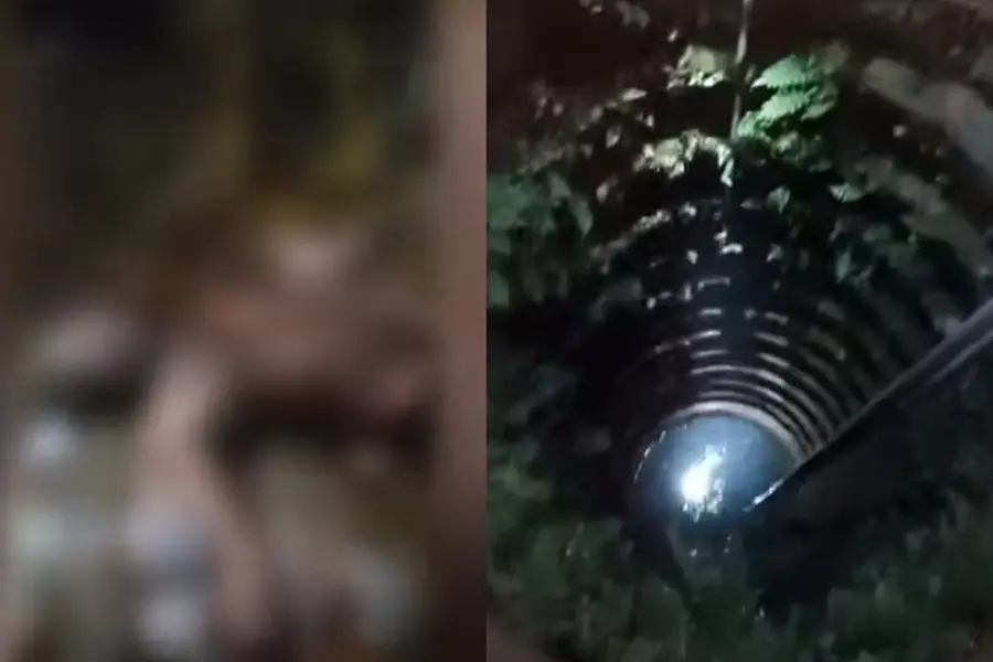 വാക്കുതർക്കത്തിനിടെ ആക്രമണം; തിരുവനന്തപുരത്ത് യുവതിയെ തീകൊളുത്തി കൊലപ്പെടുത്താൻ ശ്രമിച്ച് യുവാവ്