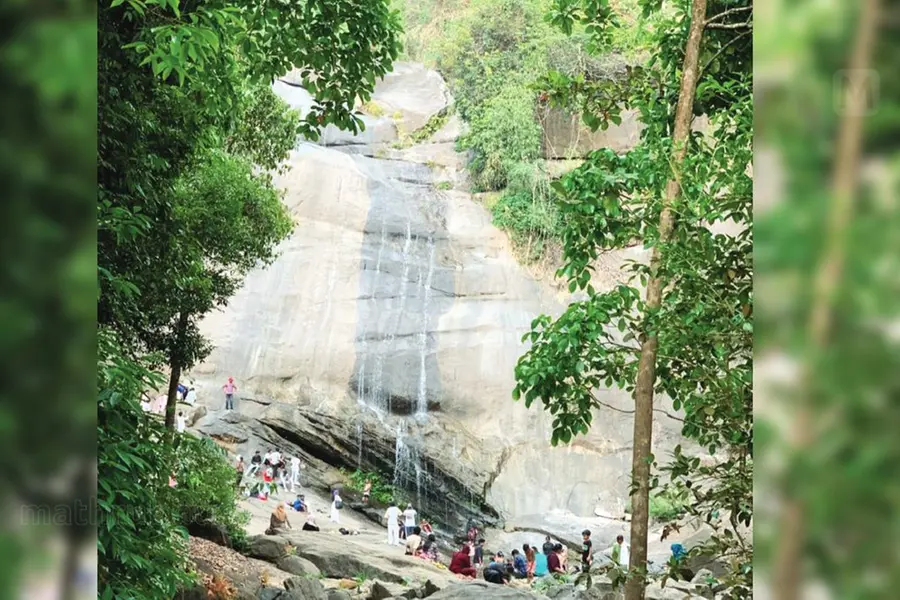 കണ്ണീര്ച്ചാലായി തുഷാരഗിരി വെള്ളച്ചാട്ടം; സഞ്ചാരികളും വരുമാനവും കുറഞ്ഞു