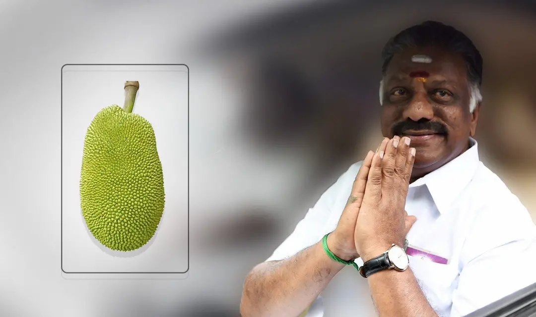 ഒ.പനീർ സെൽവം | എ.എൻ.ഐ