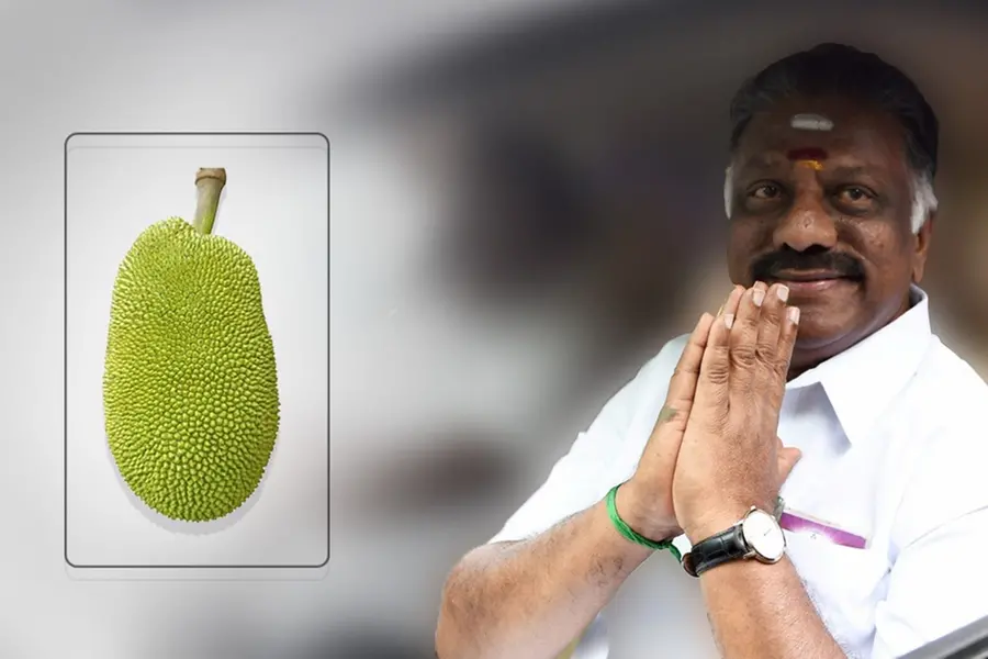 ഒ. പനീര്ശെല്വത്തിന് കിട്ടിയത് 'ചക്ക' ചിഹ്നം