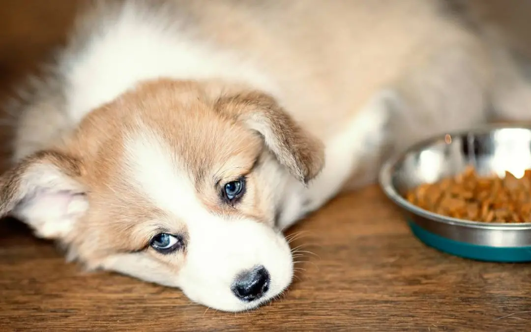 Representative Image| Photo: Canva.com