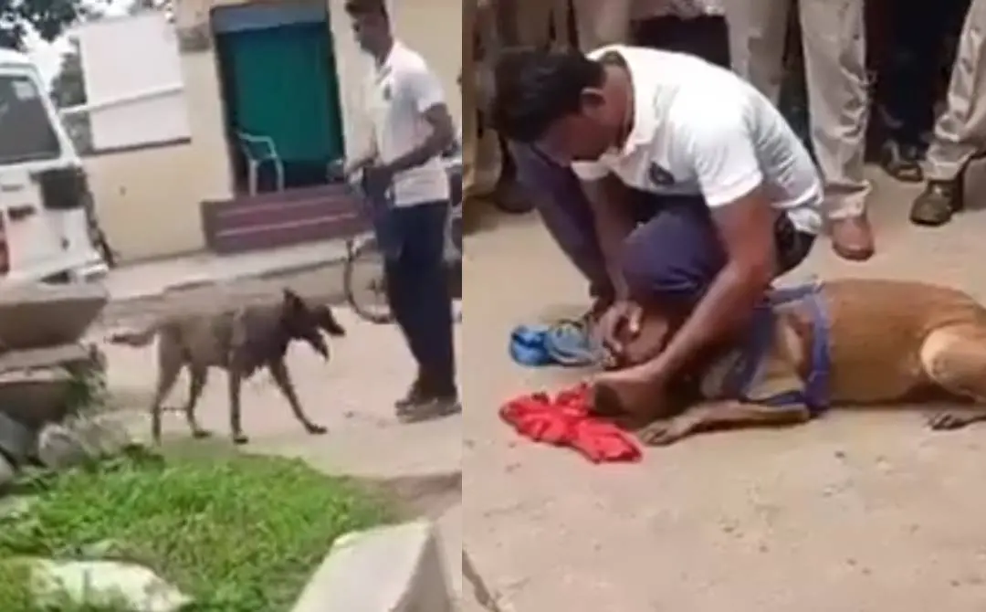 അന്വേഷണസംഘം പോലീസ് നായയെ മണം പിടിപ്പിക്കുന്നു | Screengrab: x.com/yasarullah