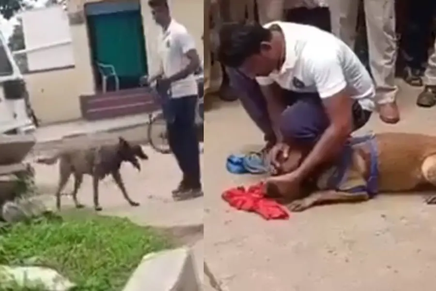സ്കൂൾവിദ്യാർഥികൾ ശ്രമിച്ചത് അശ്ലീലരംഗങ്ങൾ അനുകരിക്കാന്; എട്ടുവയസ്സുകാരിയെ പീഡിപ്പിച്ച് കൊന്നു