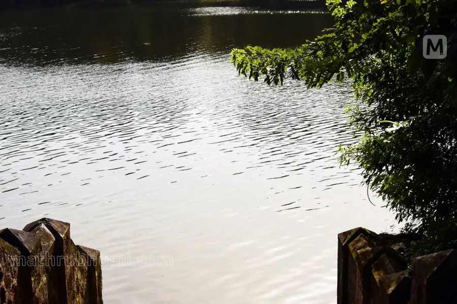 പാലക്കാട്ടെ കുളങ്ങൾ 5839, സംരക്ഷിക്കപ്പെടുന്നവ 858; മാലിന്യങ്ങൾ തള്ളുന്ന ഇടങ്ങളായി കുളങ്ങൾ
