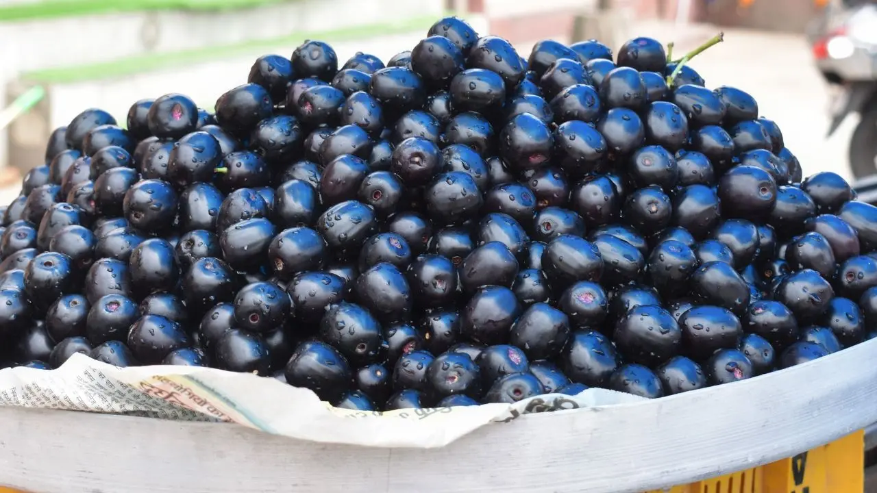 representative image|photo:canva