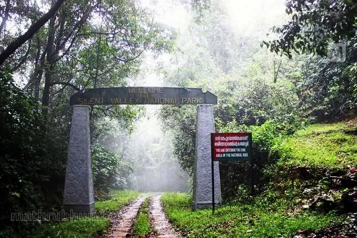 സൈലന്റ് വാലി