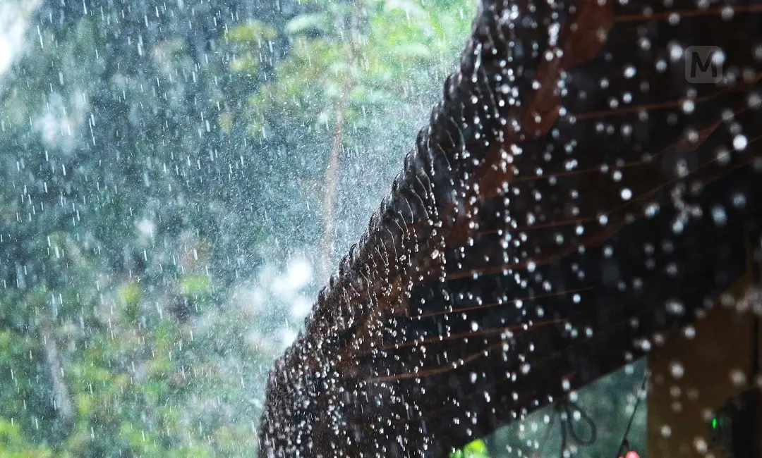 ഫോട്ടോ: ലതീഷ് പൂവത്തൂര്