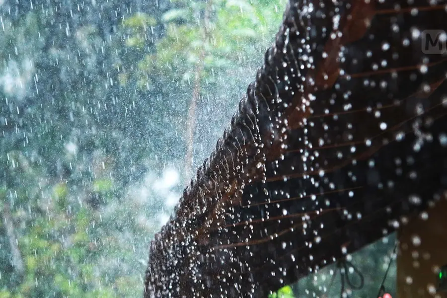 'പേമഴ', 'രാമഴ' ; അശാന്തിയുടെ പുസ്തകത്തിലെ മഴ...| സജയ് കെ.വി | മഷിപ്പച്ച