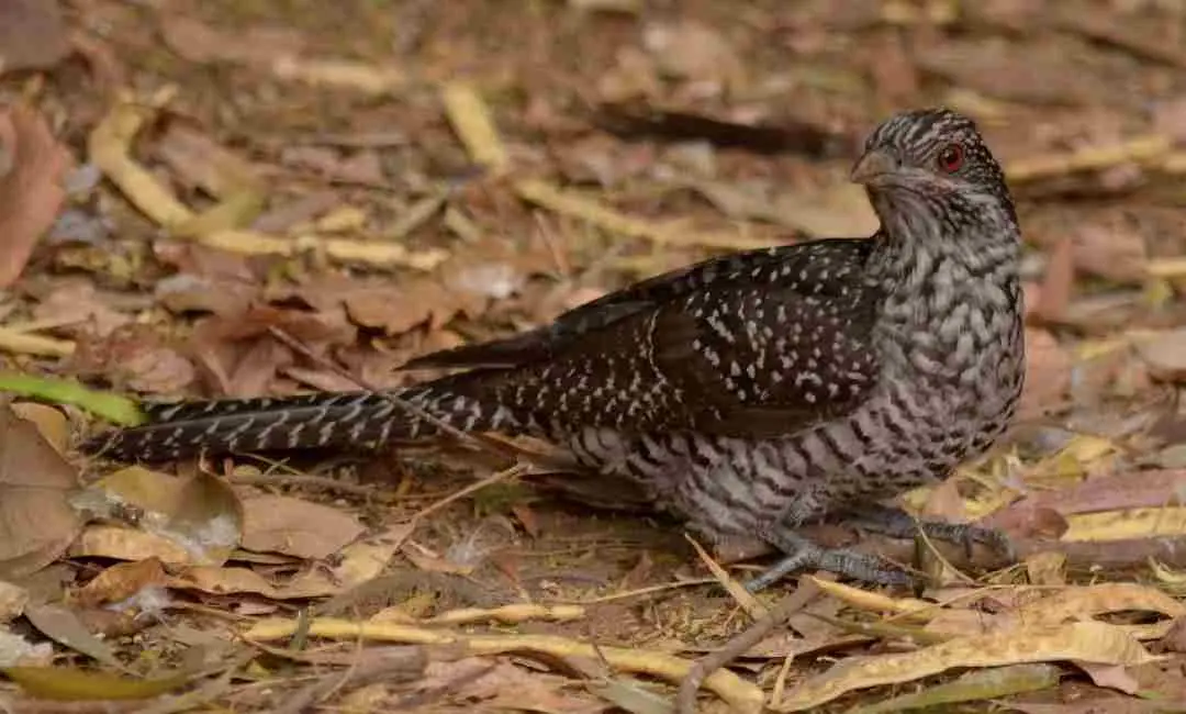 ഫോട്ടോ ക്രെഡിറ്റ്: UNI