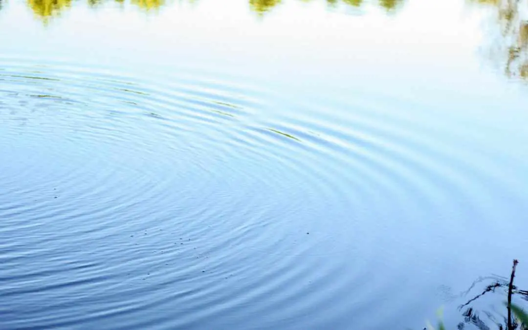 Representative Image| Photo: Canva.com