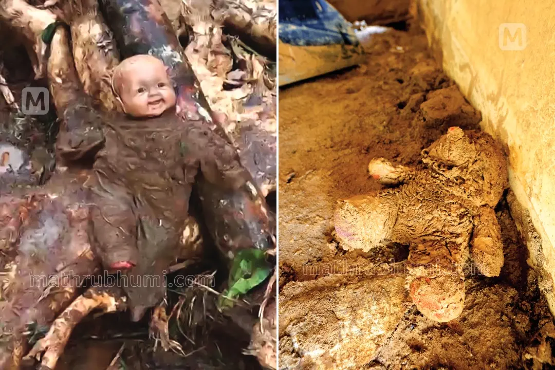 വയനാട്ടിലെ ദുരന്തഭൂമിയിലെ കളിപ്പാട്ടങ്ങൾ | ചിത്രം: മാതൃഭൂമി