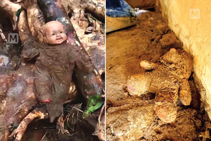 വയനാട് ഉരുൾപൊട്ടൽ ദുരന്തം: ദത്തെടുക്കലിനുള്ള മാർഗനിർദേശങ്ങൾ വിശദീകരിച്ച് ചൈൽഡ് പ്രൊട്ടക്ഷൻ വിഭാഗം