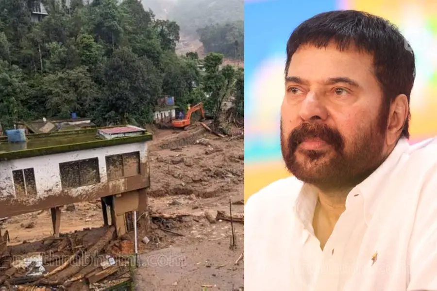 വയനാടിന് കെെത്താങ്ങായി മമ്മൂട്ടിയും, അവശ്യസാധനങ്ങൾ എത്തിക്കും