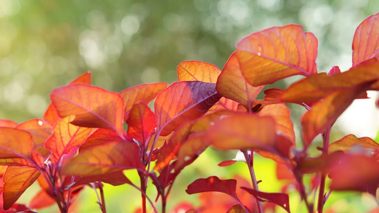 representative image|photo: canva