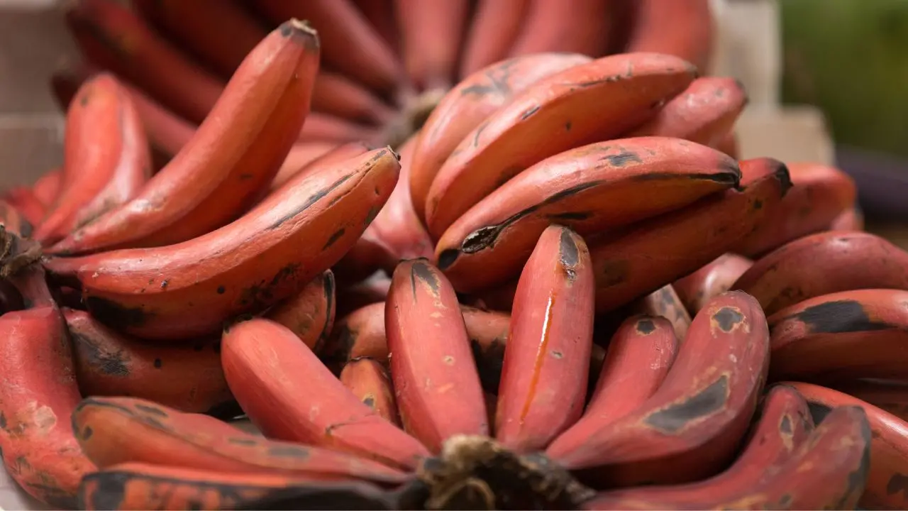 representative image|photo:canva
