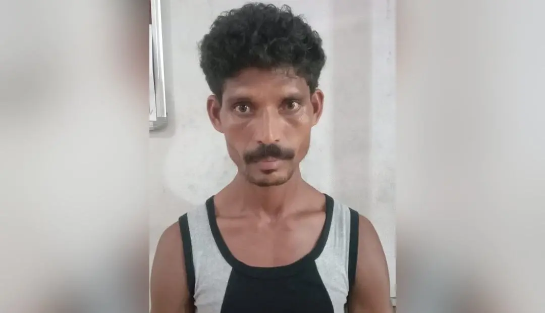 നാരായൺ നായിക്