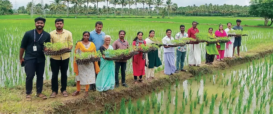കൊല്ലങ്കോട് കൃഷിഭവൻപരിധിയിലുള്ള മാതക്കോട് പാടശേഖരസമിതിയിലെ വരമ്പുകളിൽ നടാനുള്ള സങ്കരയിനം ചെണ്ടുമല്ലിത്തൈകളുമായി കർഷകരും കൃഷിവകുപ്പ് ഉദ്യോഗസ്ഥരും