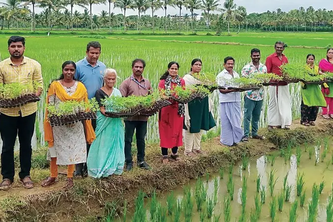 മാതക്കോട് പാടശേഖരസമിതിയിലെ വരമ്പുകൾക്കിനി വർണപ്പകിട്ട്