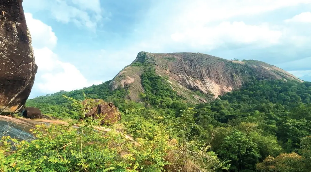 ചീനിക്കമൂലയുടെ മുകളില്‍ നിന്നുള്ള കാഴ്ച