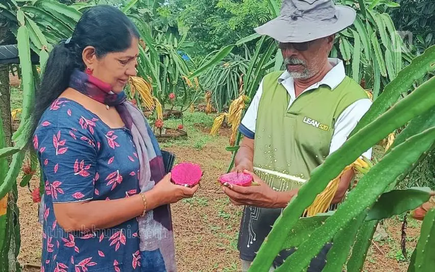 രവീന്ദ്രന്‍പിള്ളയും ഭാര്യ രമാദേവിയും തോട്ടത്തില്‍ | ഫോട്ടോ: മാതൃഭൂമി