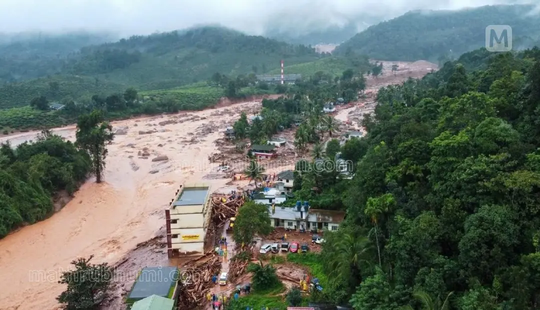 വയനാട്ടിൽ ഉരുൾപൊട്ടലുണ്ടായ സ്ഥലത്ത് നിന്നുള്ള ദൃശ്യം | ഫോട്ടോ:ഷമീർ മച്ചിങ്ങൽ / മാതൃഭൂമി
