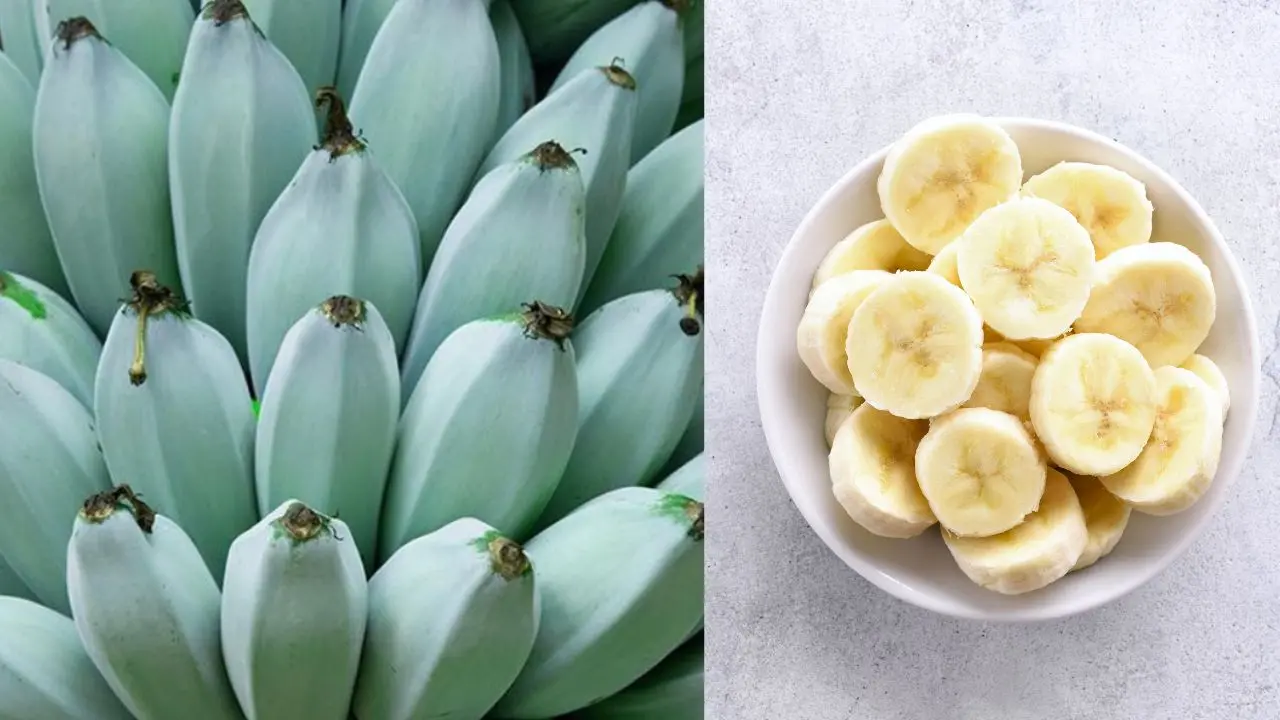 blue java banana,representative image|photo:canva