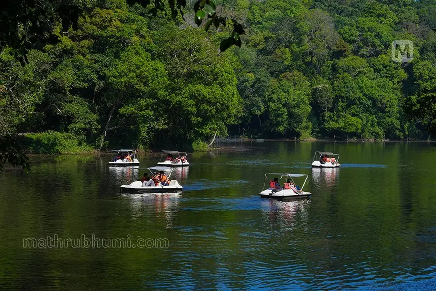 വയനാട് യാത്രയില് ഒഴിവാക്കാന് പറ്റാത്തയിടം; പൂക്കോട് തടാകത്തിന്റെ മനോഹാരിത വര്ണിച്ച് ടൂറിസംമന്ത്രി