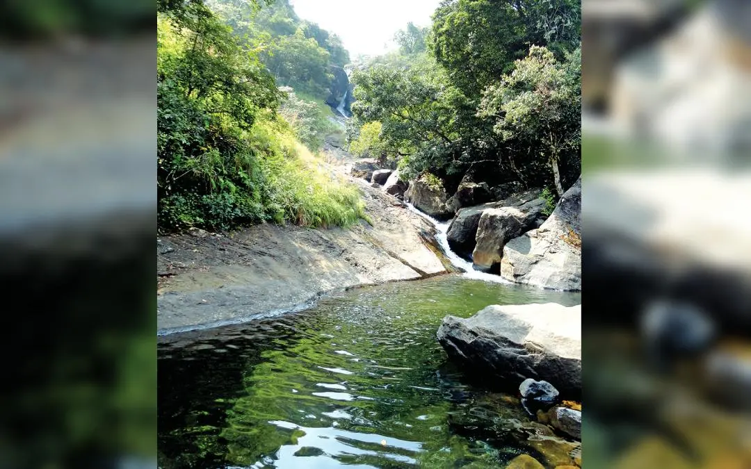മീന്മുട്ടി വെള്ളച്ചാട്ടം