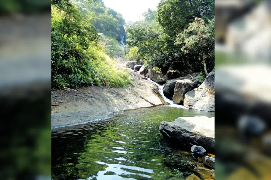 വയനാട്ടിലെ മനോഹരമായ വെള്ളച്ചാട്ടം മാസങ്ങളായി അടഞ്ഞുകിടക്കുന്നു; നിരാശയോടെ സഞ്ചാരികള്