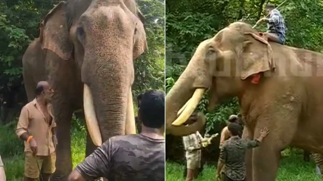 പുതുപ്പള്ളി സാധു | Photo: Screengrab