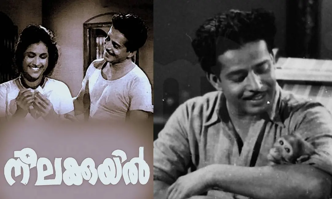 നീലക്കുയിൽ