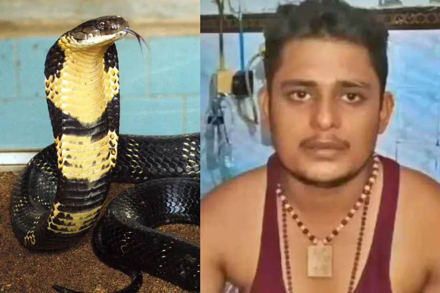 40 ദിവസത്തിനിടെ യുവാവിന് പാമ്പ് കടിയേറ്റത് ഏഴു തവണ; രഹസ്യം കണ്ടെത്തി വിദഗ്ദ്ധ സമിതി