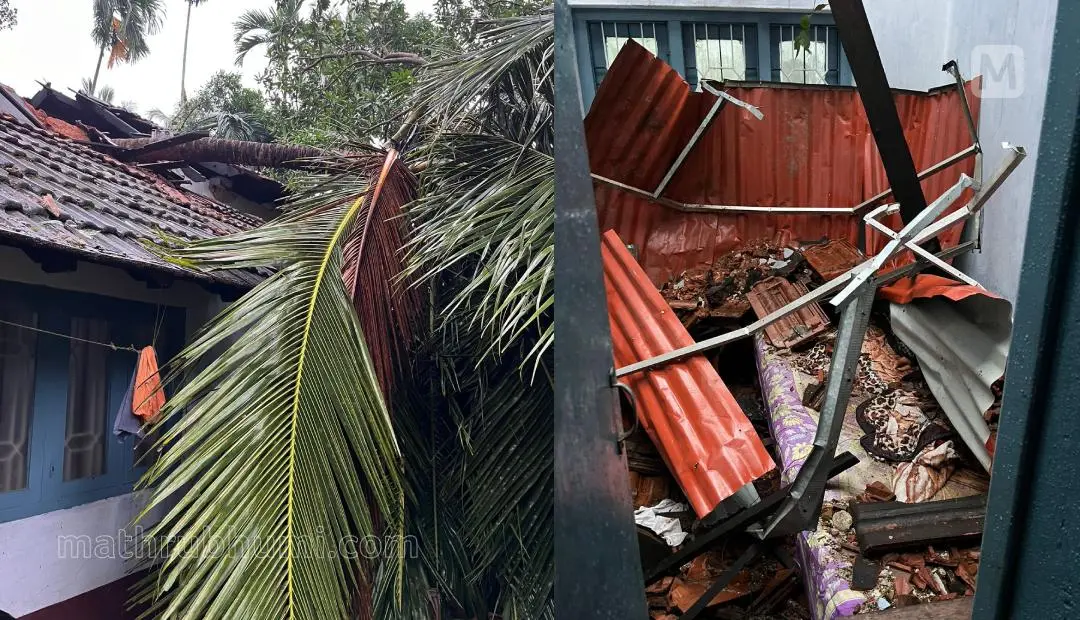 മരം വീണ് വീട് തകർന്ന നിലയിൽ