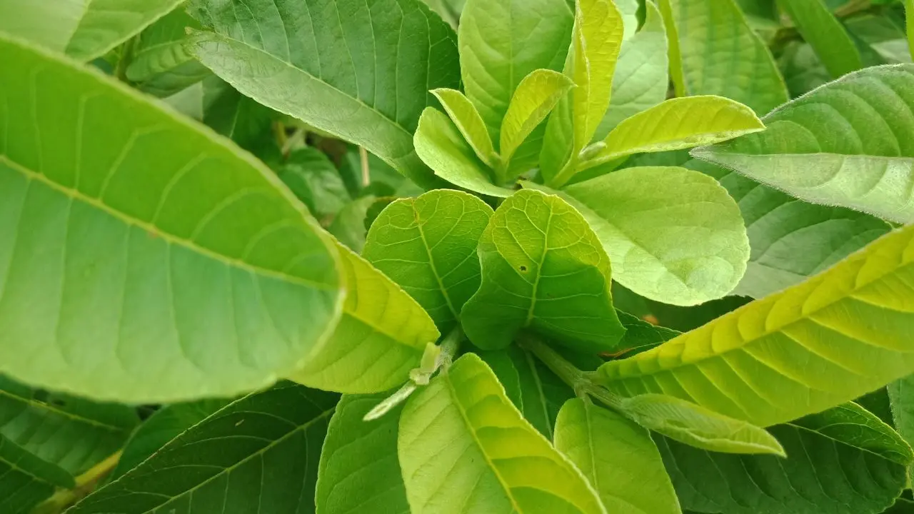 representative image|photo:canva