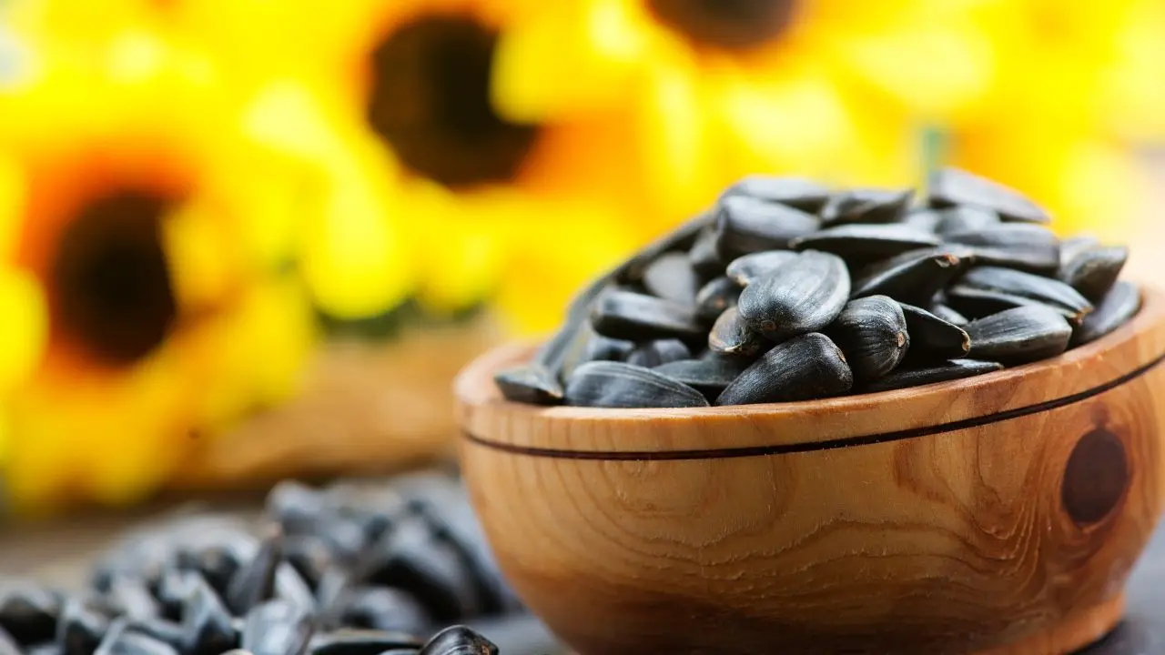representative image|photo: canva