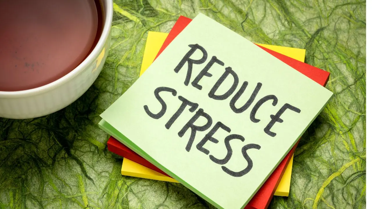 representative image|photo:canva
