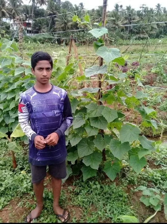 ഹയർ സെക്കന്റി വിഭാഗത്തിൽ മികച്ച വിദ്യാർഥി കർഷകനായി തിരഞ്ഞെടുക്കപ്പെട്ട അക്ഷയ് തന്റെ കൃഷിയിടത്തിൽ