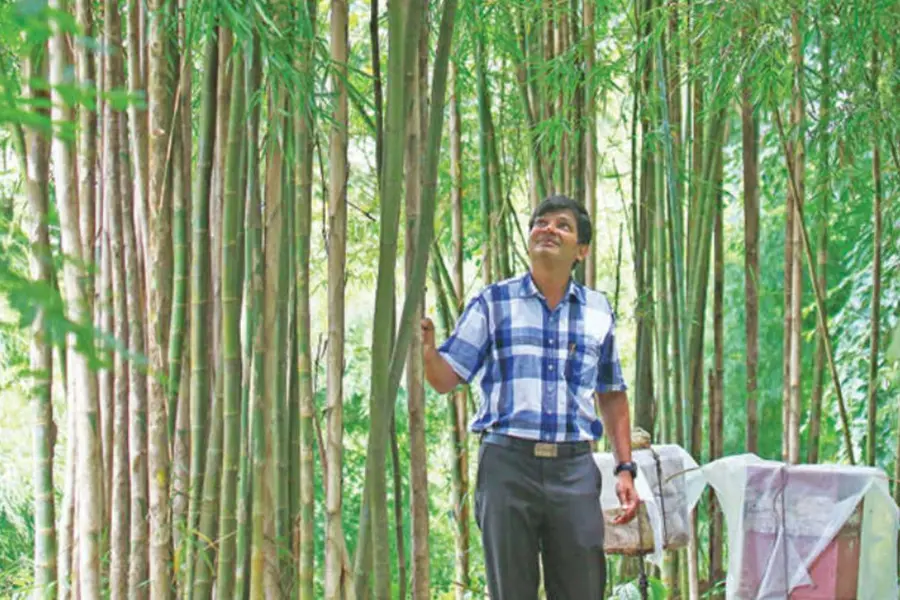 50 മുതല്‍ 500 രൂപ വരെ വില; ജോണിന്റെ ഒരേക്കര്‍ തോട്ടത്തില്‍ 60 ഇനം മുളകള്‍