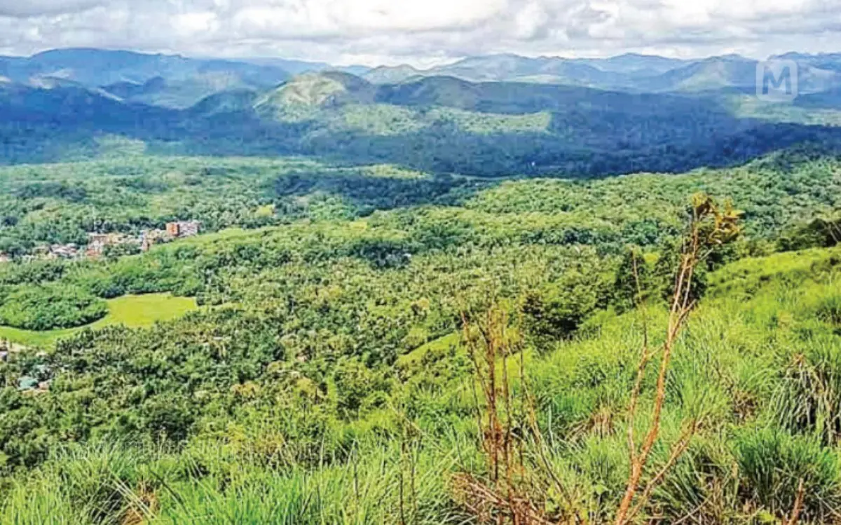 മിറാക്കിൾ മൗണ്ടിന് മുകളിൽ നിന്നുള്ള ദൃശ്യം | ഫോട്ടോ: മാതൃഭൂമി
