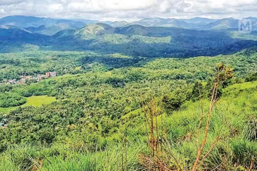 സമുദ്രനിരപ്പിൽനിന്ന് 3800 അടി ഉയരം, കാഴ്ചയുടെ അദ്ഭുതം നിറച്ച് മിറാക്കിൾ മൗണ്ട്