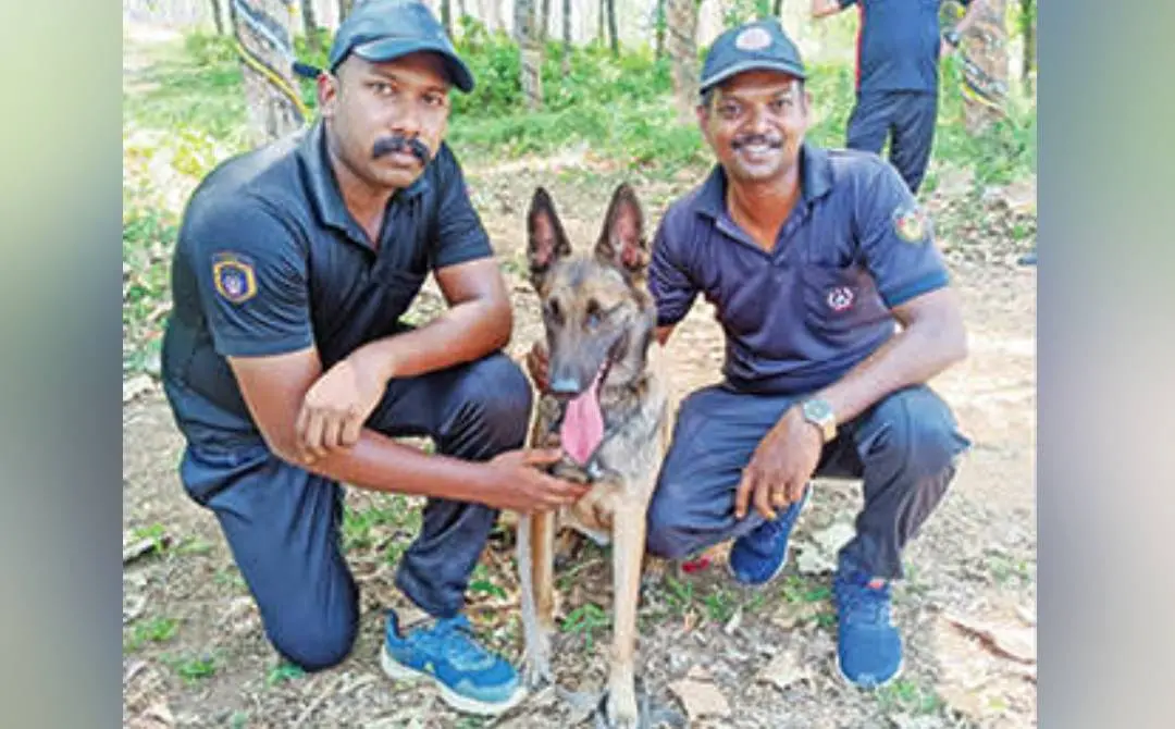 മായ, ഹാൻഡ്ലർമാരായ പ്രഭാതിനും മനേഷിനുമൊപ്പം