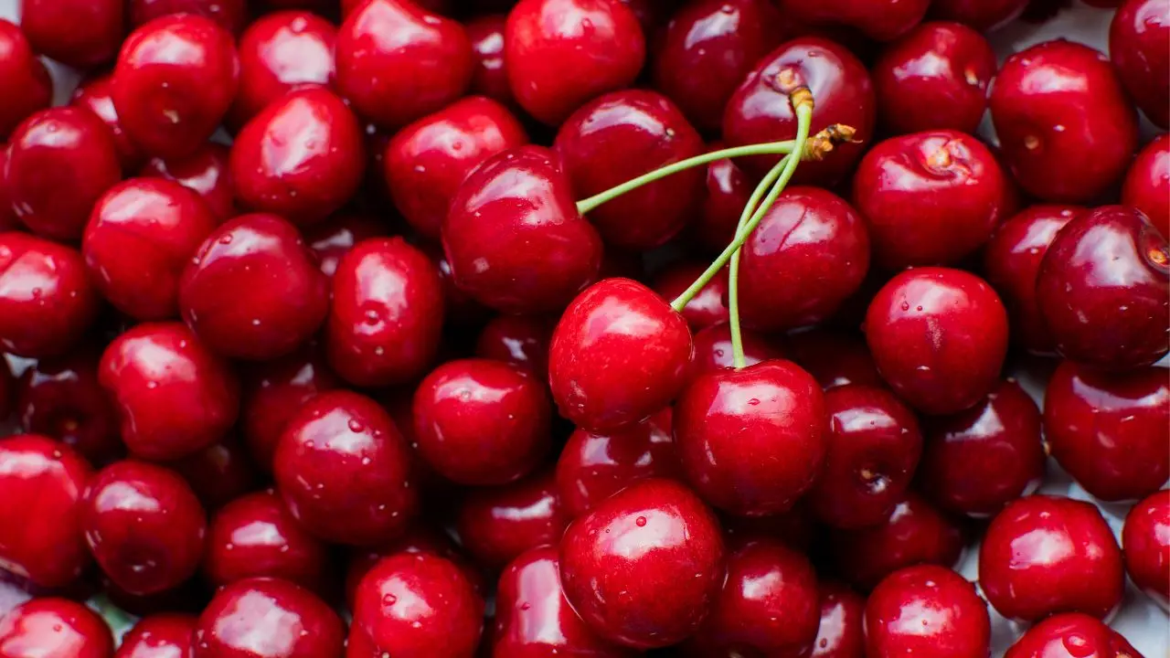 representative image|photo:canva