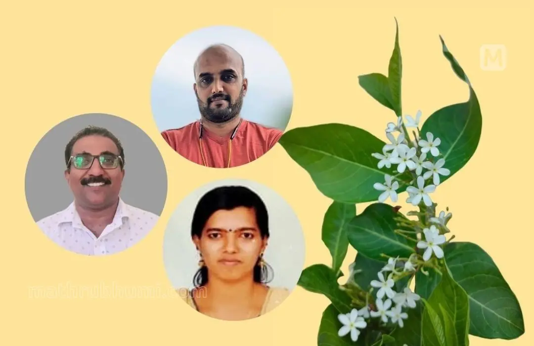 പാലക്കാട് ചുരത്തിന്റെ ഭാഗമായ കൊഴിഞ്ഞാമ്പാറ നാട്ടുകല്ലില് നിന്ന് ഗവേഷകര് കണ്ടെത്തിയ പുതിയ ഇനം കുടകപ്പാല സസ്യം. ഗവേഷണ സംഘത്തിലെ അംഗങ്ങളായ ഡോ. സുരേഷ് വി., ഗവേഷണ വിദ്യാര്ത്ഥിനിയായ അംബിക വി., ഡോ. സോജന് ജോസ് എന്നിവര് (ക്ലോക്ക് വൈസ്)