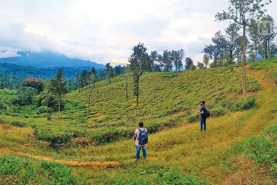 വയനാട് പുനരധിവാസം: മോഡൽ ടൗൺഷിപ്പ് കല്പറ്റയിലും നെടുമ്പാലയിലും, മാസ്റ്റർപ്ലാൻ തയ്യാറാക്കുന്നു